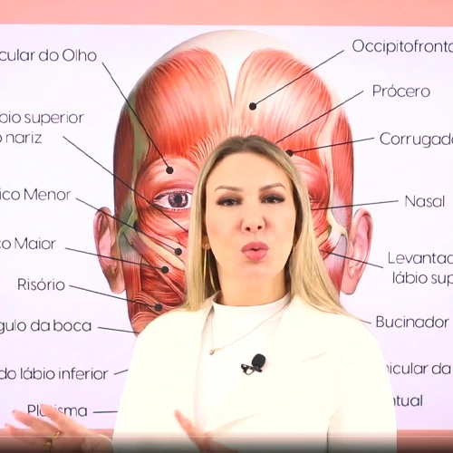 Anatomia essencial para iniciantes